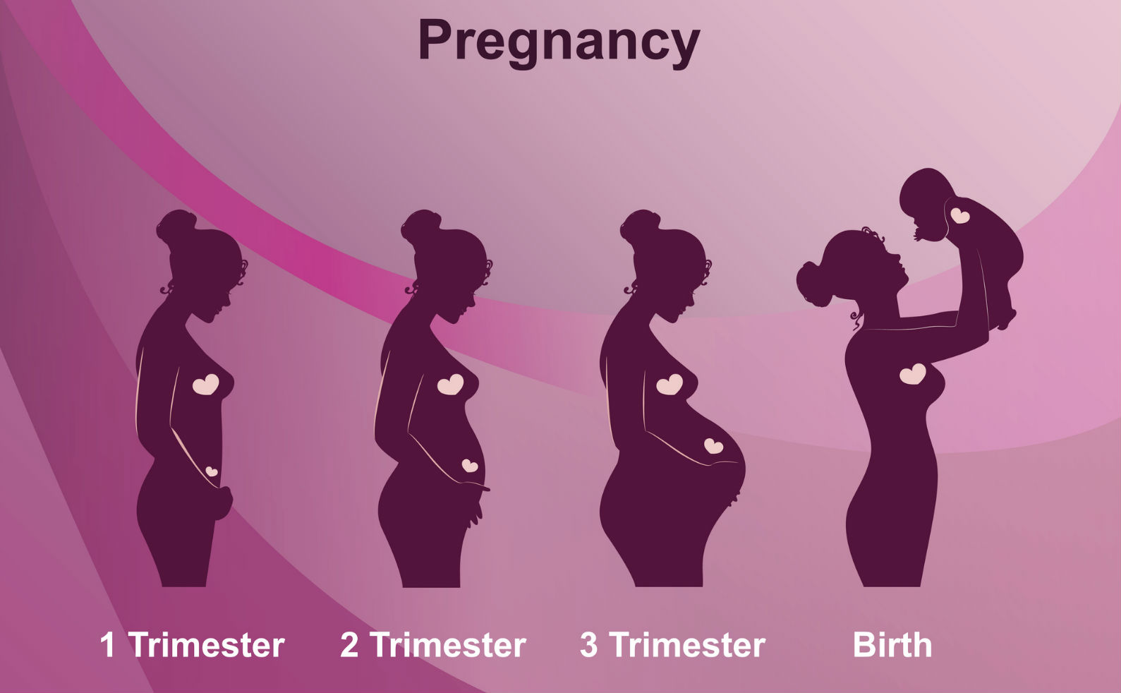 How a woman's body changes during 9 months of pregnancy.